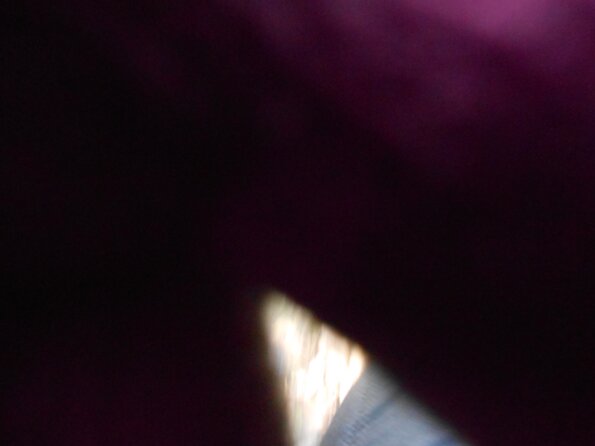 DSCN9255