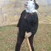 RED EYE 12 (1)