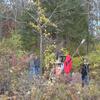 SAM_0258