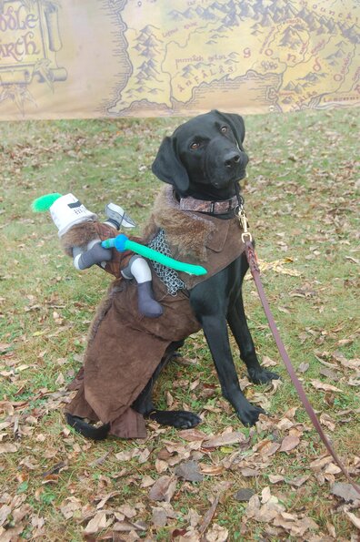 DOGLANDER (1)