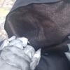 NAZGUL 5 (2)