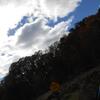 JB_RGFA14_095