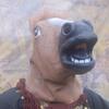 BILL THE PONY (2)