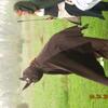 DSCN3095_0050